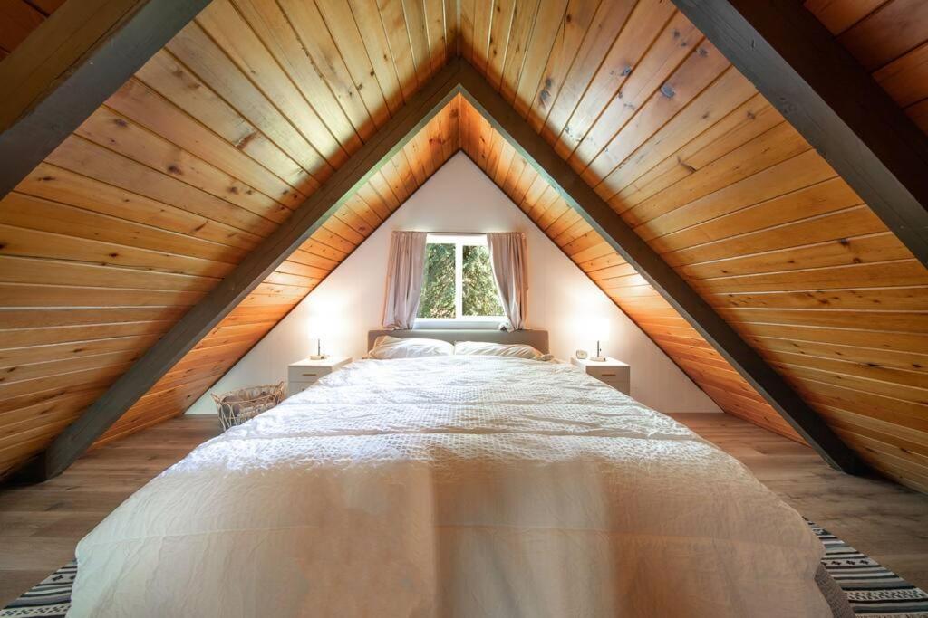 R & R Chalet At Mt. Rainier Ashford Eksteriør bilde